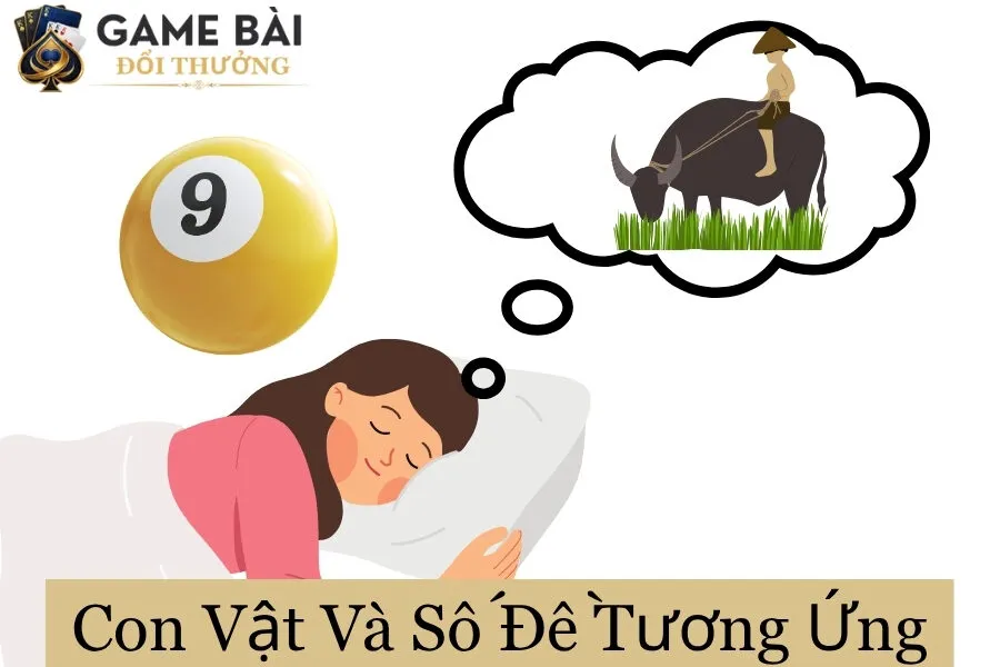 Nằm mơ thấy con trâu đánh 09