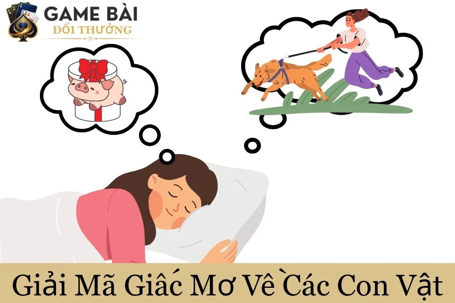 Giải Mã Giấc Mơ Về Các Con Vật
